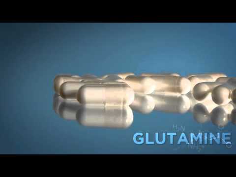 Bodybuilding.com Guide to Glutamine