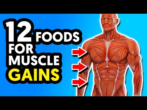 12 Best Foods For Muscle Building and Strength