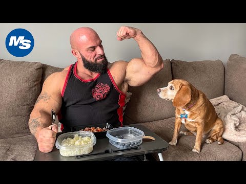 Muscle Building Meals | IFBB Pro Nate Spear's High Protein Go-To
