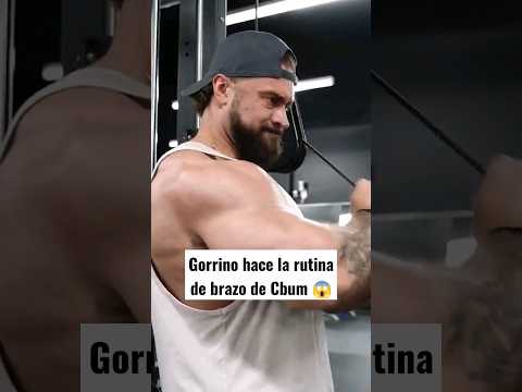 Gorrino hace la rutina de brazo de Cbum #gym #cbum #bodybuilding #fitness