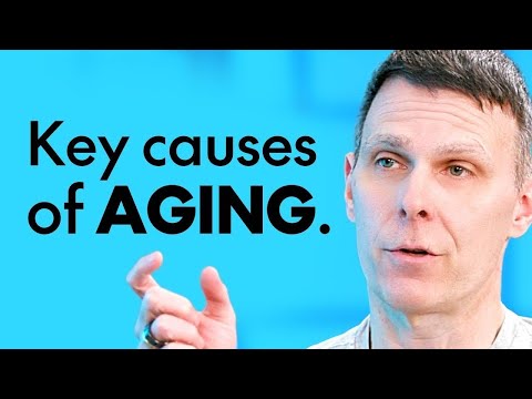 What to Eat to Slow the Aging Process